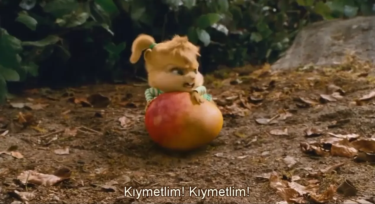 Kıymetlimis 